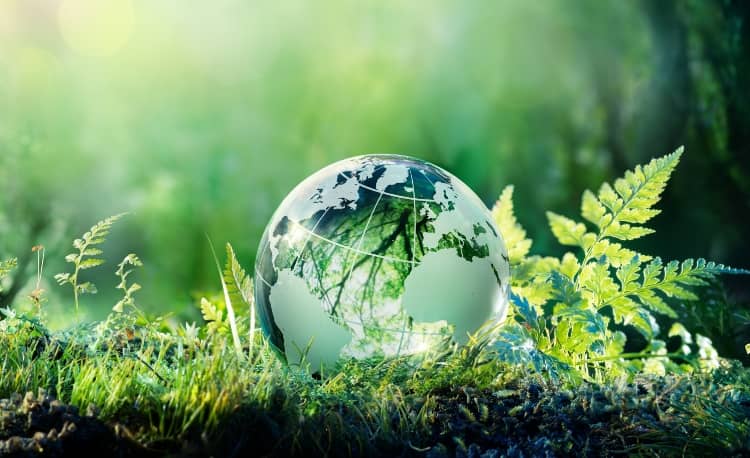 サステナビリティへの取り組み